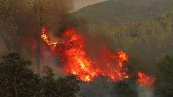 Středomořská Vlna Veder Lesní Požáry Rychle Šíří Evropských Lesích — Stock video