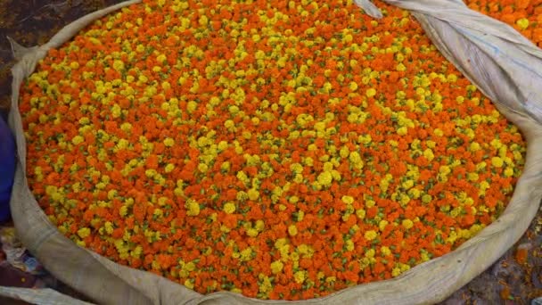 收集到的万寿菊花被送到市场上出售 — 图库视频影像