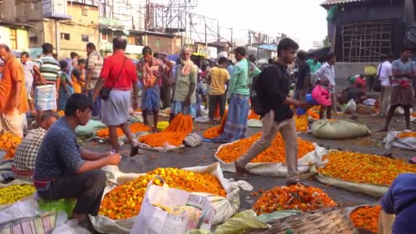 Die Gesammelten Ringelblumen Werden Zum Verkauf Auf Den Markt Gebracht — Stockvideo