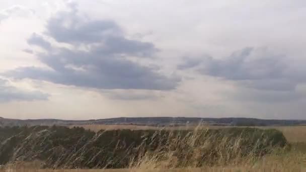 Sideways Dolly Shot Rolling English Countryside Hills Copaci Nori Dramatici — Videoclip de stoc