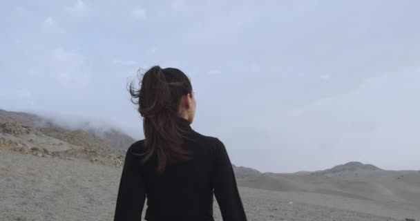 风吹着 吹动着她的头发 一位漂亮的女人站在多云的沙漠里 穿着黑色衣服 从后面站着 — 图库视频影像