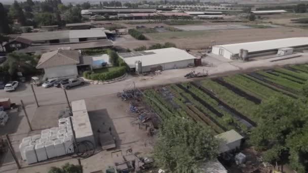 Luchtfoto Van Een Tractor Buurt Van Groene Plantenvelden Een Kibboets — Stockvideo