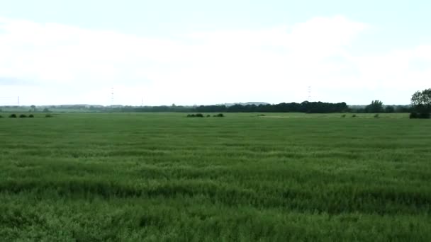 Fields Wave Strong Wings Beautiful Countryside United Kingdom — Stock Video