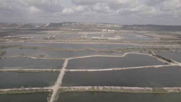 Vue Aérienne Des Étangs Poissons Sur Bord Lac Naturel Pied — Video