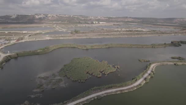 Paralaksa Widok Lotu Ptaka Wyspę Roślinnością Stawach Rybnych Skraju Naturalnego — Wideo stockowe