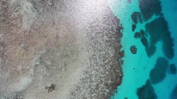 Kızıl Deniz Deki Sersemletici Mercan Duvarları Nın Havadan Kuşlar Gözü — Stok video