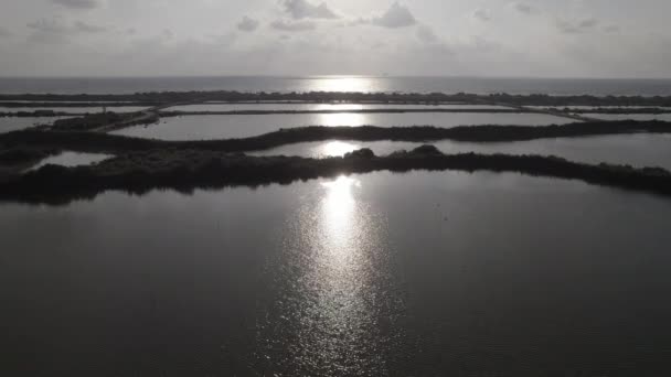 海上渔塘前飞的空中景观 镜像轮廓 慢动作 Log — 图库视频影像