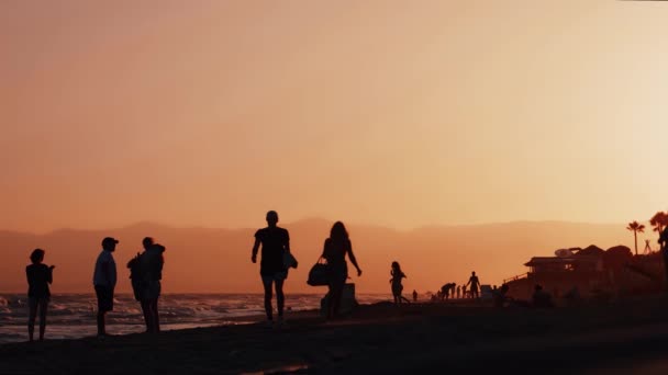 海岸を歩く人々のシルエット — ストック動画