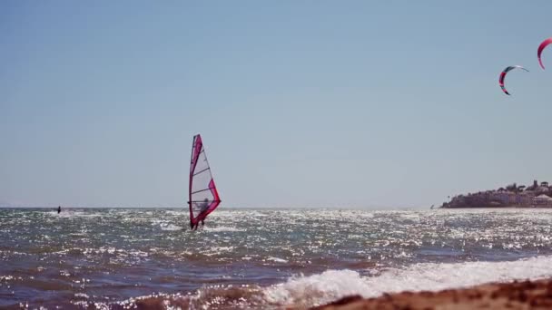 Windsurfer Rallentatore Visto Dalla Spiaggia — Video Stock