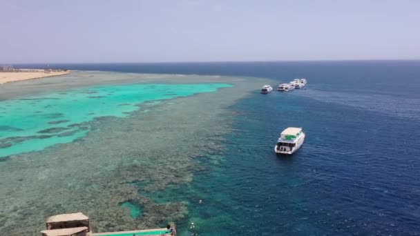 Kızıl Deniz Deki Muhteşem Mercan Duvarlarının Teknelerin Dalgıçların Hava Aracı — Stok video