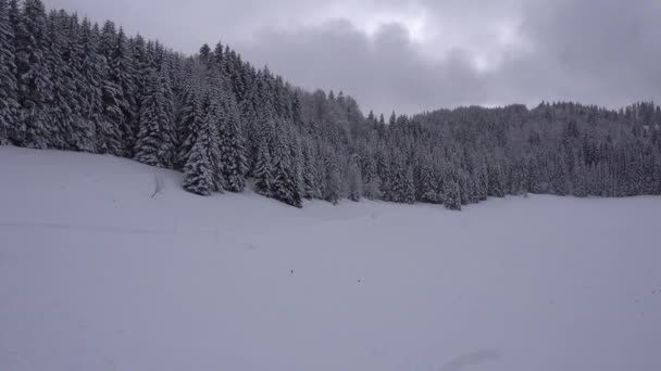 Hombre Caminando Nieve Los Alpes Franceses Durante Una Nevada Con — Vídeo de stock