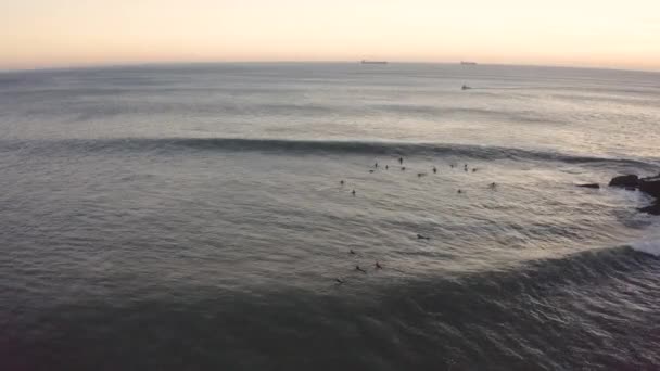 Luchtdrone Zicht Een Groep Surfers Wachtend Golven Aan Kust Van — Stockvideo