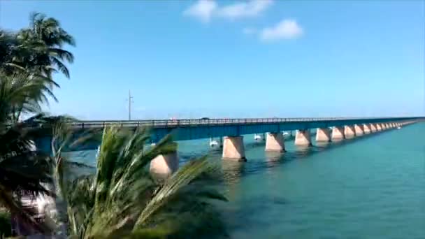 Palmera Levantamiento Aviones Tripulados Disparo Mile Bridge Florida Keys — Vídeos de Stock