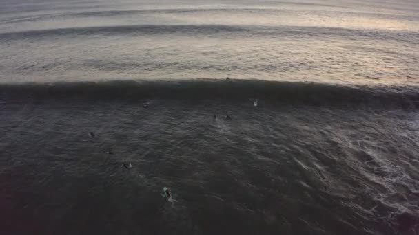 Luchtdrone Zicht Een Groep Surfers Wachtend Perfecte Golven Aan Kust — Stockvideo