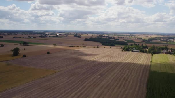 Luftaufnahme Über Einem Teil Des Schattigen Weizenerntefeldes Dolly Vorwärts Einführungsschuss — Stockvideo