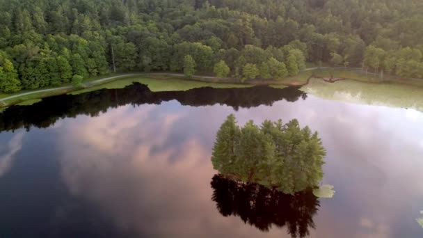 Isola Aerea Ninfee Nel Lago Basso Soffiare Roccia Nord Carolina — Video Stock