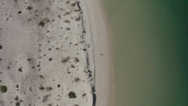 Vista Superior Aérea Las Olas Marinas Que Llegan Playa Arena — Vídeos de Stock