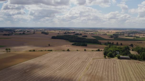 Панорамный Вид Высоты Птичьего Полета Обширную Ферму Недалеко Деревни Против — стоковое видео