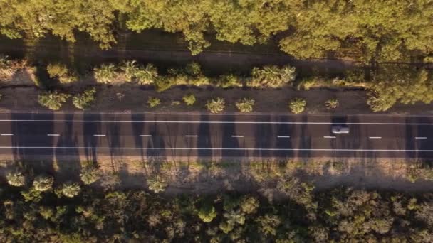Uruguay Düz Kırsal Kırsal Yolunda Çevresi Bitki Örtüsüyle Çevrili Izole — Stok video