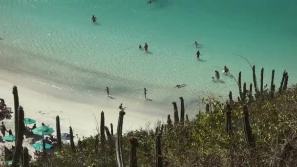 해변의 청록색 해변에서 즐기고 여행자들 — 비디오
