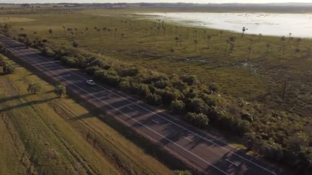 Drone Pov Van Geïsoleerde Witte Auto Rijden Langs Rechtlijnige Landelijke — Stockvideo