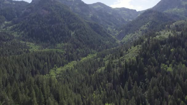 Vista Aérea Das Montanhas Wasatch American Fork Canyon Utah Durante — Vídeo de Stock