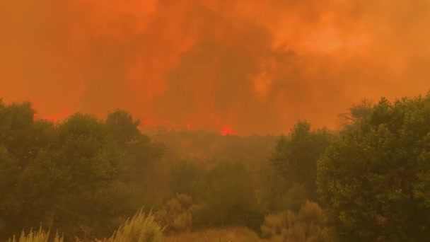 Stojí Horské Silnici Dívá Červené Slunce Uprostřed Nebezpečného Kouře Divokého — Stock video