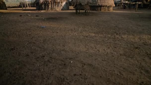 Rumah Tradisional Tongkat Kayu Permukiman Suku Karo Lembah Omo Ethiopia — Stok Video