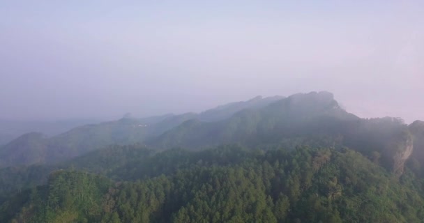 Misteriosa Toma Aérea Del Paisaje Forestal Que Crece Montaña Durante — Vídeos de Stock