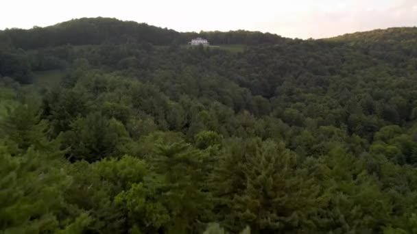 モース コーン マナー ハウスへと突き進む木の上の空中 — ストック動画
