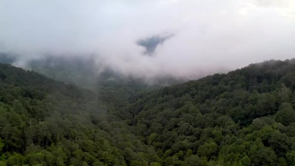 Sis Bulutlar Esmekte Olan Kaya Boone Kuzey Carolina — Stok video