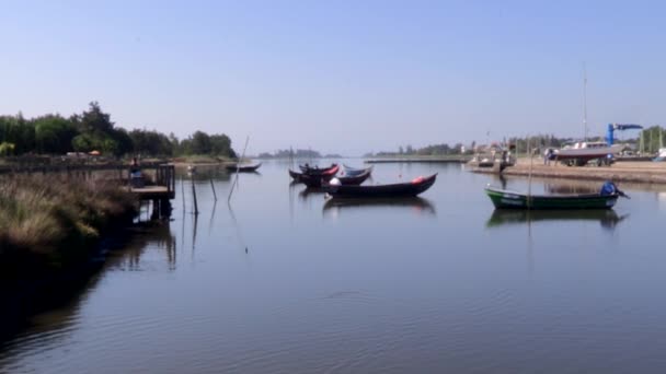 Muelle Barcos Ría Ovar Con Sus Tradicionales Botes Pesca Río — Vídeos de Stock