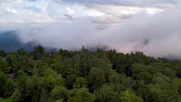 Treetop Εναέρια Άποψη Των Νεφών Και Ομίχλη Πάνω Από Βουνά — Αρχείο Βίντεο