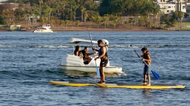 Paddleboards Barco Con Forma Cisne Como Entusiastas Los Deportes Acuáticos — Vídeos de Stock