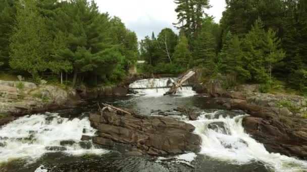 Uchylenie Górę Utworzenie Ujęcia Wodospadów Oxtongue Algonquin Park Ontario Kanada — Wideo stockowe