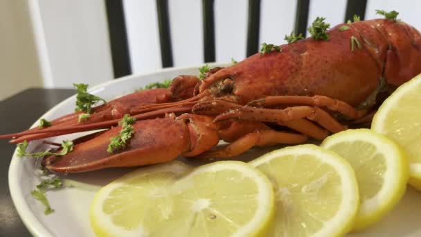 Apresentação Uma Lagosta Cozida Lugar Restaurante — Vídeo de Stock