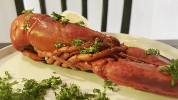 Presentasi Lobster Matang Sebuah Tempat Restoran — Stok Video