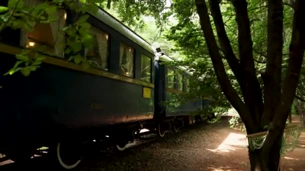 Exteriör Över Gamla Vintage Tåg Nedsänkt Grön Frodig Vegetation Handhållen — Stockvideo