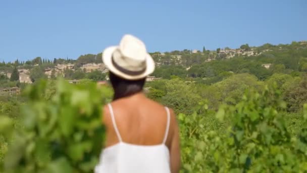Красивая Женщина Наслаждается Видом Горы Виноградники Юге Франции Горд — стоковое видео
