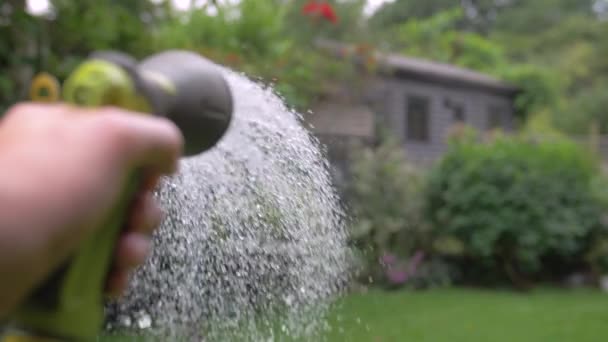 Garden Hose Watering Garden Slow Motion — Stock Video