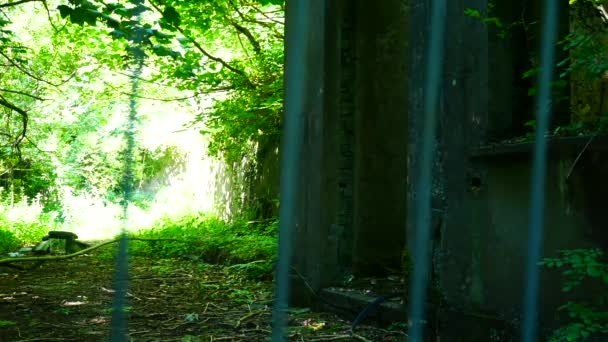 Abandoned Eerie Fenced Slate Mine Quarry Ruins Overgrown Woodland Wilderness — Stock Video