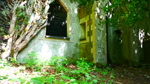 Historic Eerie Church Abandoned Slate Mine Quarry Ruins Overgrown Woodland — Stock Video