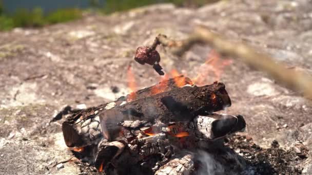 Grilling Raw Deer Meat Bonfire Out Nature Sunny Day Shallow — Stock Video