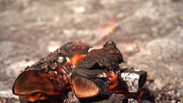 Closeup Burning Bonfire Stick Raw Deer Meat Entering Frame Left — Stock Video