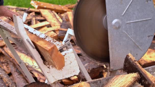 Řezání Borového Dřeva Pro Přípravu Zimu Detailní Záběr Pilky Palivového — Stock video