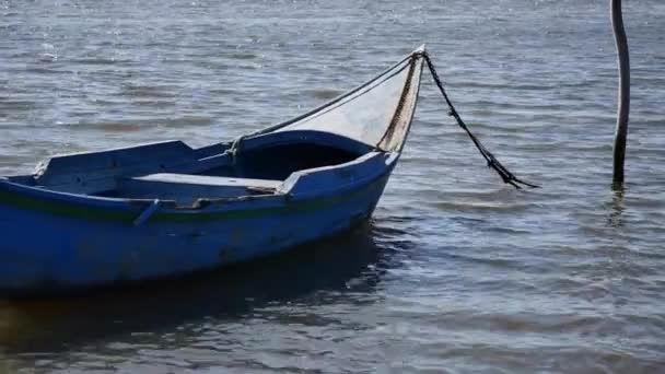 Открытка Видео Небольшой Традиционной Деревянной Лодки Которая Движется Ветром Воде — стоковое видео