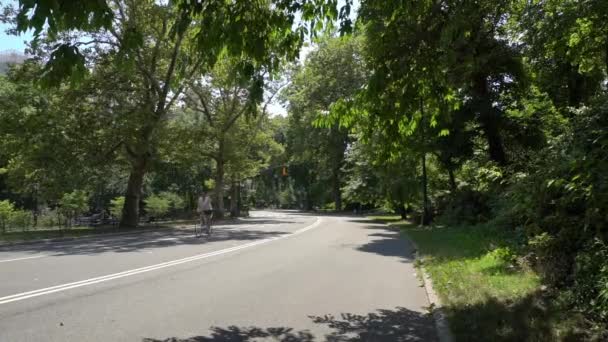 Ffotage Ralenti Équitation Cycliste Dans Central Park — Video