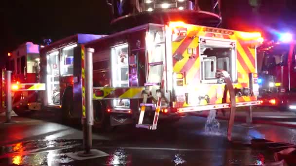 Toronto Fire Department Truck Siren Lights — Stock Video