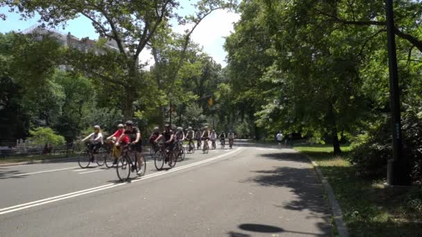 中央公园骑自行车的慢镜头 — 图库视频影像