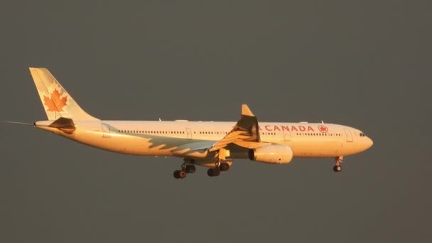 Avión Air Canada Está Aire Amanecer — Vídeo de stock